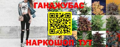 тгк Тара