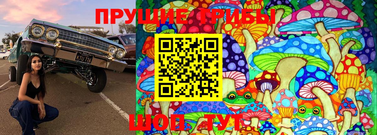 Галлюциногенные грибы GOLDEN TEACHER Лесосибирск